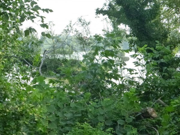 terreno in vendita a Casale sul Sile