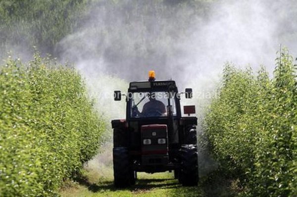 terreno in vendita a Casale sul Sile