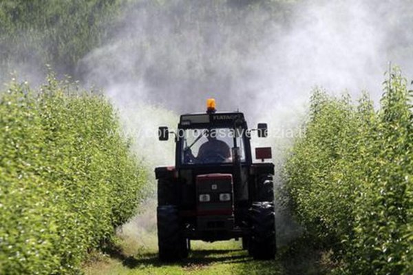 terreno in vendita a Casale sul Sile
