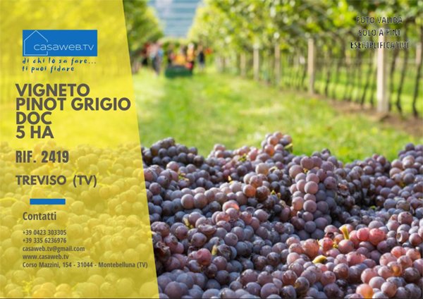 appartamento in vendita a Casier