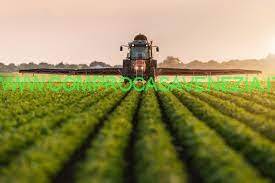 terreno agricolo in vendita a Casier in zona Dosson