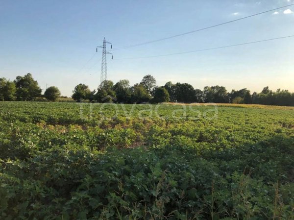terreno agricolo in vendita a Casier