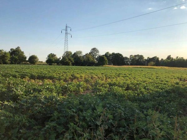 terreno agricolo in vendita a Casier