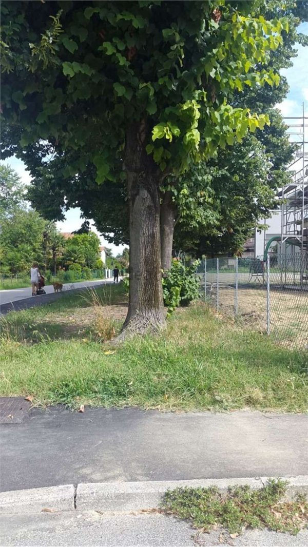 casa indipendente in vendita a Casier in zona Dosson
