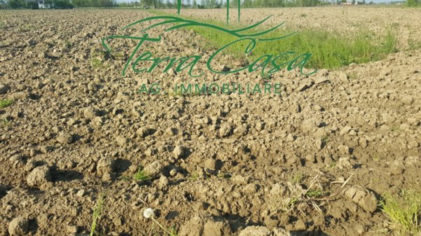 terreno agricolo in vendita a Casier