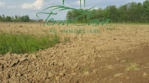 terreno agricolo in vendita a Casier