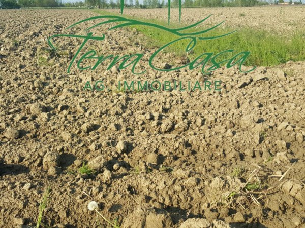 terreno agricolo in vendita a Casier