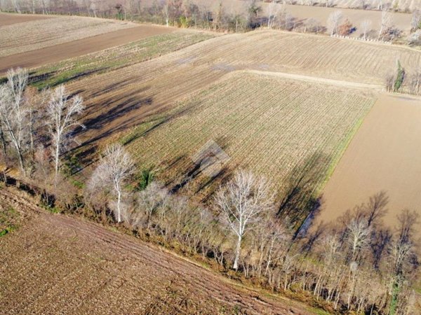 terreno agricolo in vendita a Castelfranco Veneto in zona Campigo
