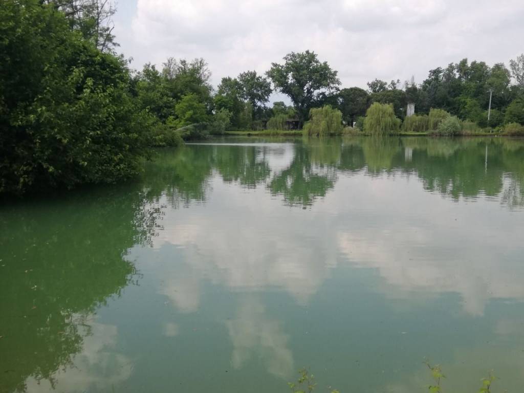 negozio in vendita a Castelfranco Veneto