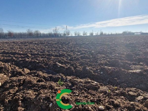 terreno agricolo in vendita a Castelfranco Veneto in zona Treville