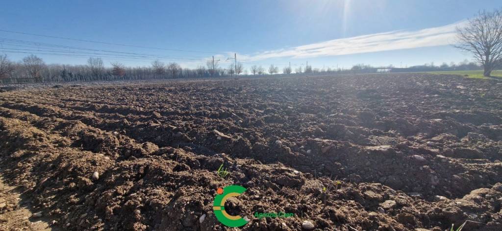 terreno agricolo in vendita a Castelfranco Veneto in zona Treville