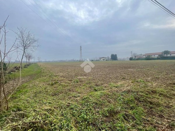 terreno agricolo in vendita a Castelfranco Veneto