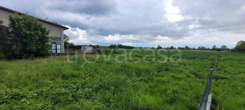 terreno agricolo in vendita a Castelfranco Veneto