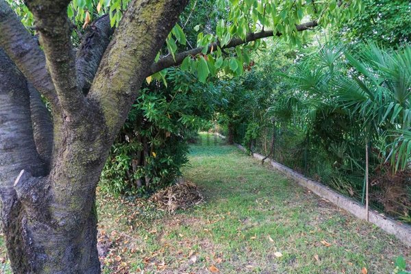 casa indipendente in vendita a Castelfranco Veneto in zona Salvarosa
