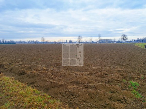 terreno agricolo in vendita a Castelfranco Veneto