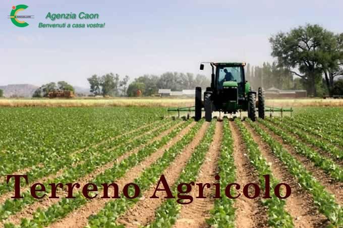 terreno agricolo in vendita a Castelfranco Veneto