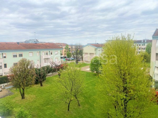 appartamento in vendita a Castelfranco Veneto