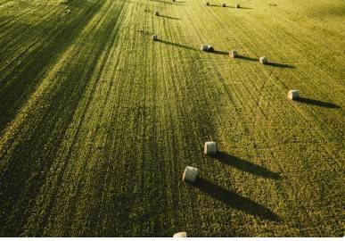 terreno agricolo in vendita a Castelfranco Veneto
