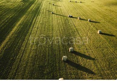 terreno agricolo in vendita a Castelfranco Veneto