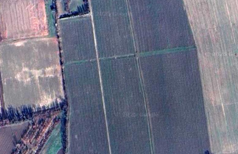 negozio in vendita a Castelfranco Veneto