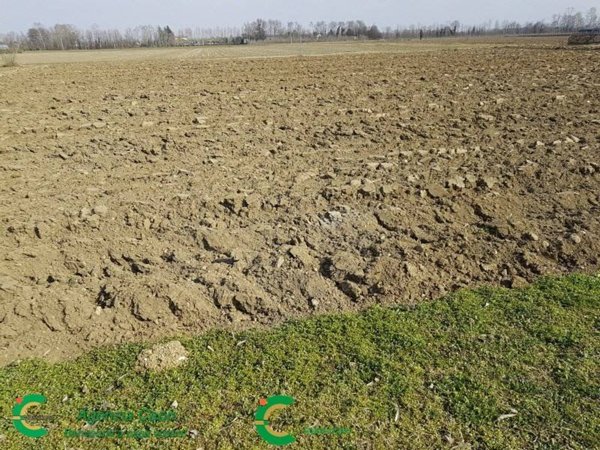 terreno agricolo in vendita a Castelfranco Veneto