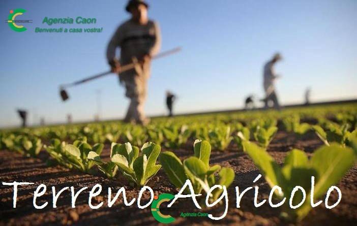 terreno agricolo in vendita a Castelfranco Veneto