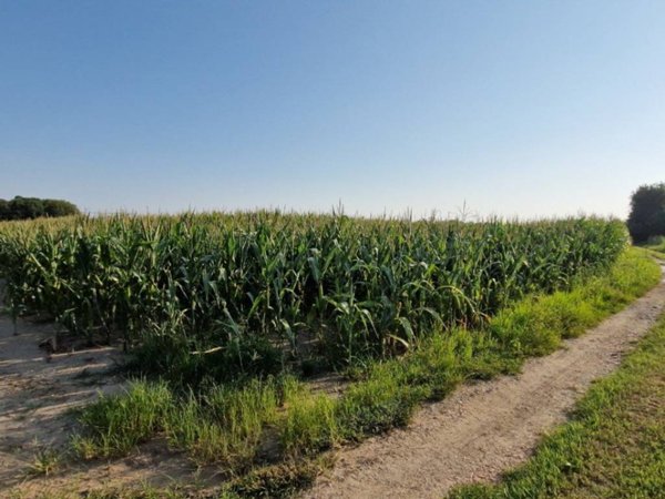 terreno agricolo in vendita a Castelfranco Veneto