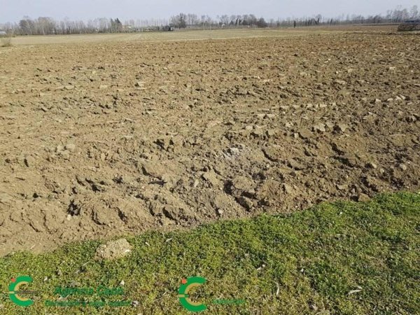 terreno agricolo in vendita a Castelfranco Veneto