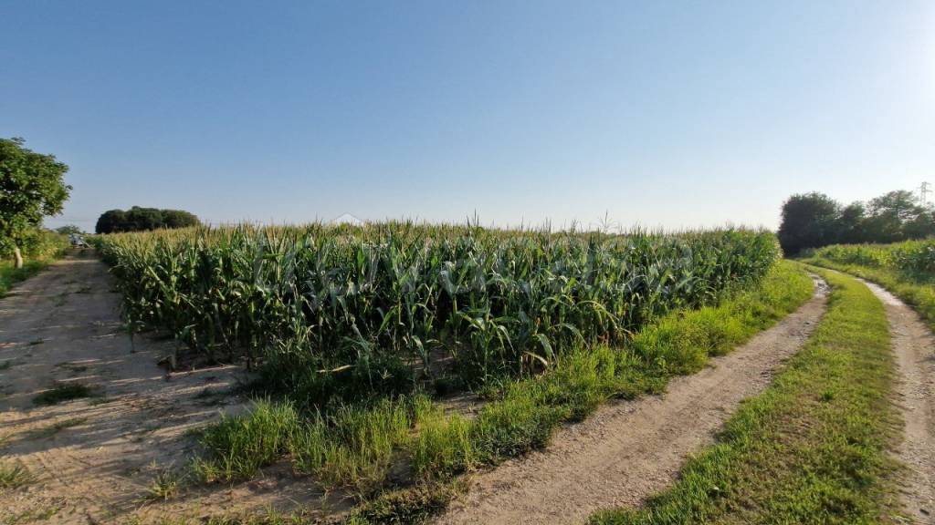terreno agricolo in vendita a Castelfranco Veneto