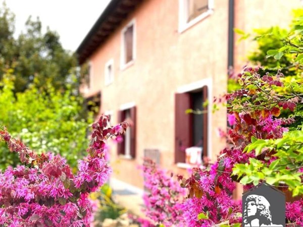 casa indipendente in vendita a Castelfranco Veneto
