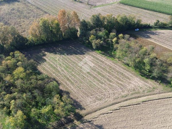 terreno agricolo in vendita a Castelfranco Veneto