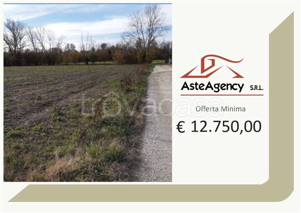 terreno agricolo in vendita a Castelfranco Veneto in zona Bella Venezia