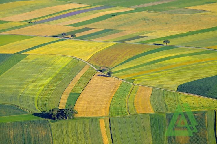 terreno agricolo in vendita a Castelfranco Veneto in zona Treville