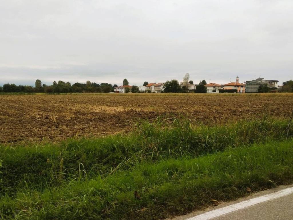 terreno agricolo in vendita a Castelfranco Veneto