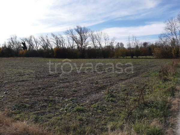 terreno edificabile in vendita a Castelfranco Veneto in zona Bella Venezia