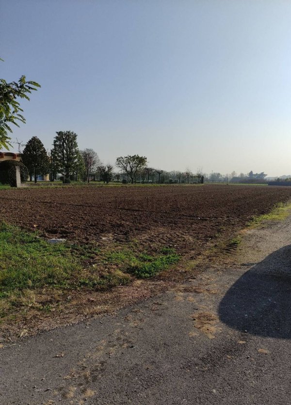 terreno agricolo in vendita a Castelfranco Veneto in zona Treville