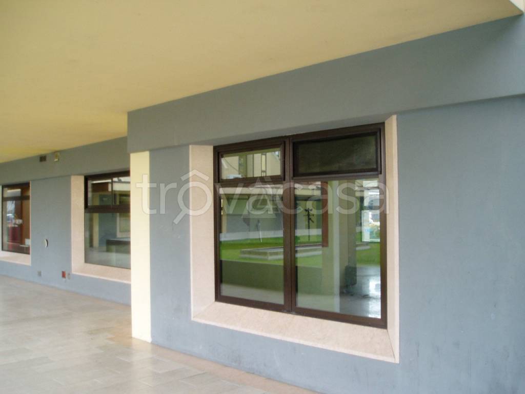 negozio in vendita a Castelfranco Veneto