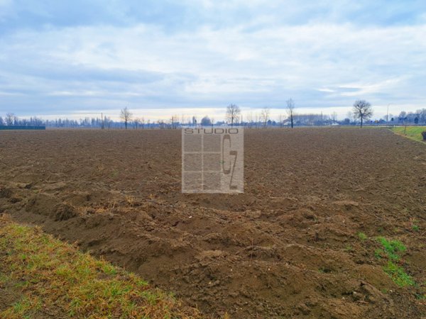 terreno agricolo in vendita a Castelfranco Veneto in zona Treville