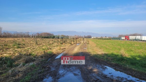 terreno agricolo in vendita a Castelfranco Veneto