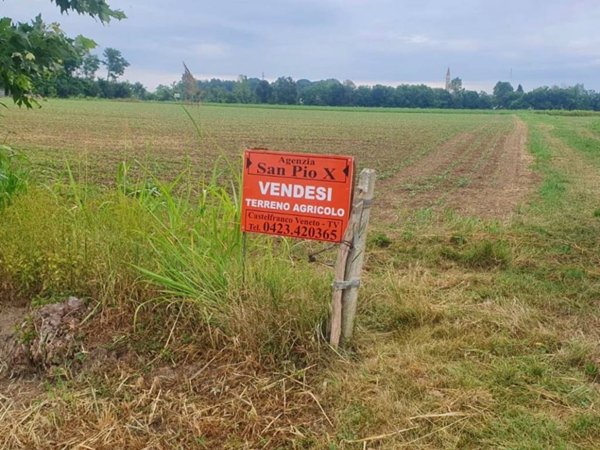terreno agricolo in vendita a Castelfranco Veneto in zona Campigo