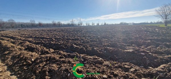 terreno agricolo in vendita a Castelfranco Veneto in zona Treville