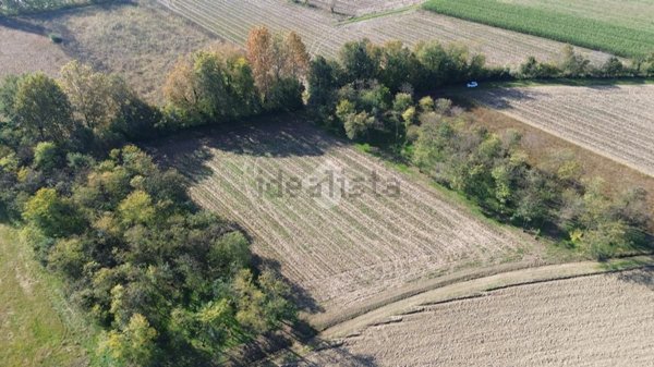terreno agricolo in vendita a Castelfranco Veneto