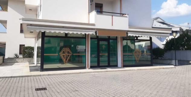 appartamento in vendita a Castelfranco Veneto in zona Salvarosa