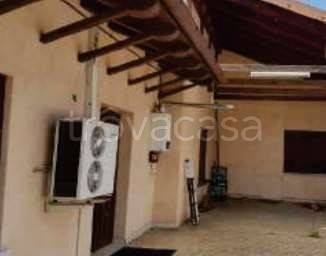 negozio in vendita a Castelfranco Veneto in zona Salvarosa