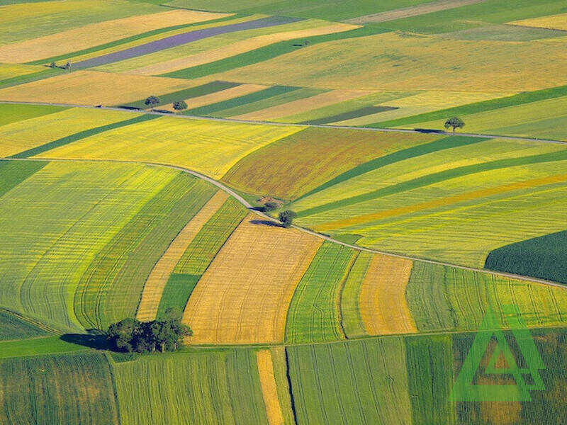 terreno agricolo in vendita a Castelfranco Veneto in zona Treville