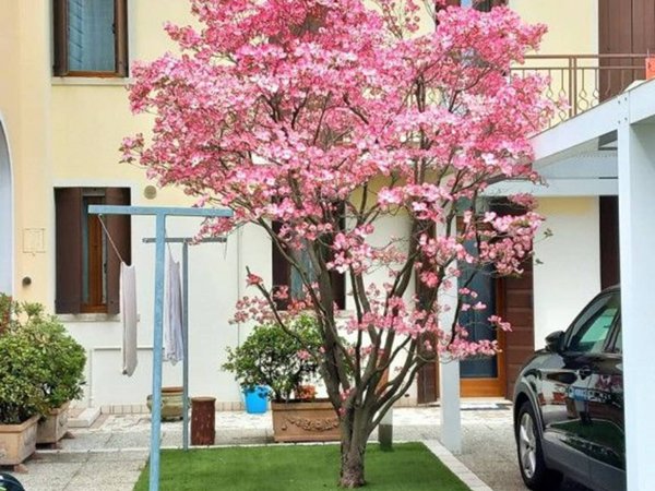 casa indipendente in vendita a Castelfranco Veneto