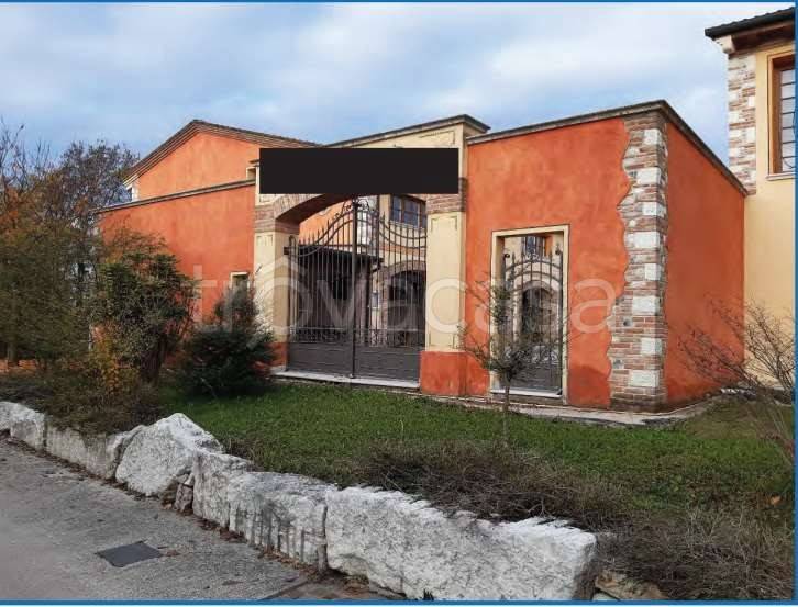 negozio in vendita a Castelfranco Veneto