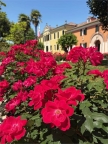 casa indipendente in vendita a Castelfranco Veneto