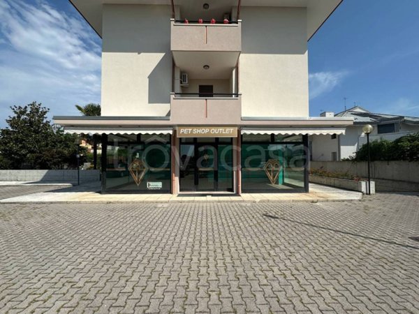 negozio in vendita a Castelfranco Veneto in zona Salvarosa