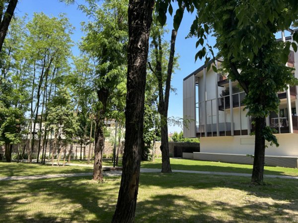 negozio in vendita a Castelfranco Veneto